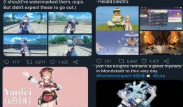 胡桃爆料事件视频播放,揭秘事件背后真相