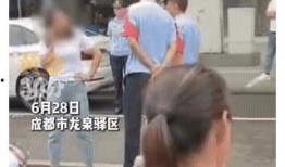四川女司机爆料视频曝光,揭露行业潜规则与安全隐忧