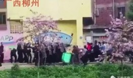 五华最新爆料事件始末,真相揭秘与舆论风暴