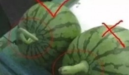 娱乐吃瓜起什么名字,揭秘明星幕后吃瓜大揭秘