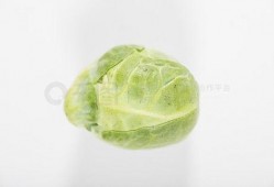 吃瓜照片配乐下载免费,免费下载吃瓜照片配乐，感受夏日清凉旋律