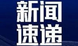 静流最新爆料新闻,最新爆料事件背后的真相与内幕