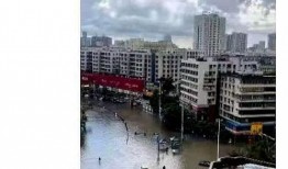 湛江市最新爆料,揭秘城市新动向与热点事件