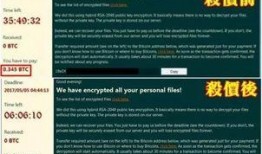四川黑客最新爆料信息网,揭秘网络信息安全背后的暗流涌动