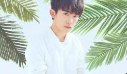 娱乐吃瓜妹易烊千玺小说,娱乐圈的甜蜜瓜田