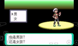 怪鸟园丁爆料视频大全最新