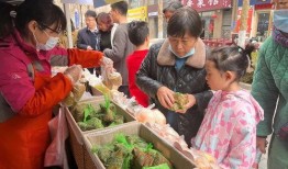 娱乐吃瓜场地图片真实,一场视觉与味蕾的双重盛宴