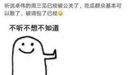 卓伟爆料行业视频,揭秘娱乐圈幕后真相