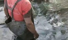 徒手抓鱼爆料怎么做视频,揭秘视频制作全攻略