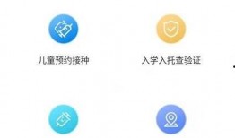 网红爆料新之助视频播放,新之助视频播放背后的惊人真相