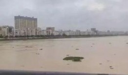 湛江市最新爆料,揭秘城市新动向与热点事件