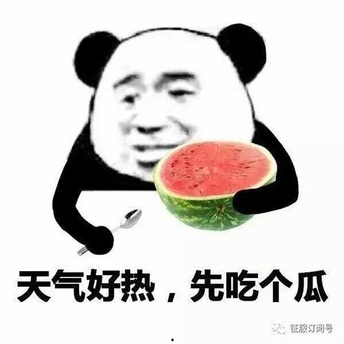 娱乐吃瓜酱东北老铁,东北老铁的娱乐吃瓜日常